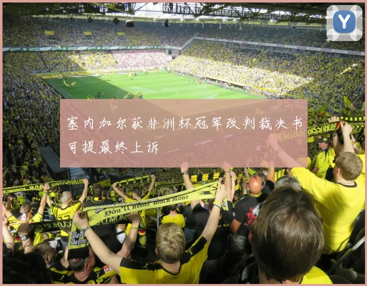 塞内加尔获非洲杯冠军改判裁决书可提最终上诉